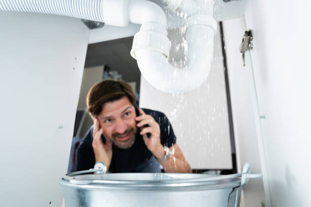Best Plumbing Services Near Me  in Tri Lakes, IN