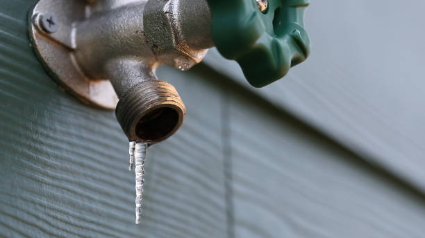Best Shower Repair Services  in Tri Lakes, IN